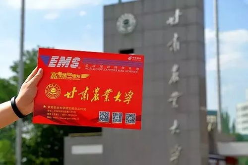 錄取通知書 期待18級萌新與GSAU共赴未來